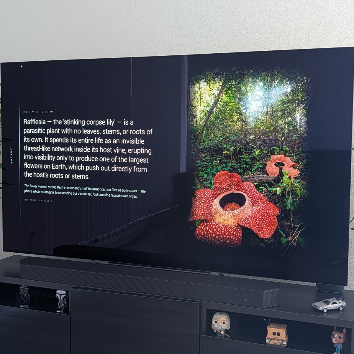 the kiosk running on the living-room TV